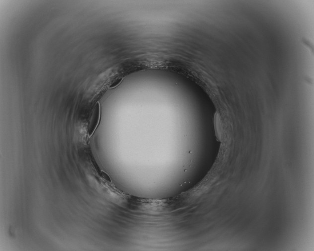 X0000103460288200809191819