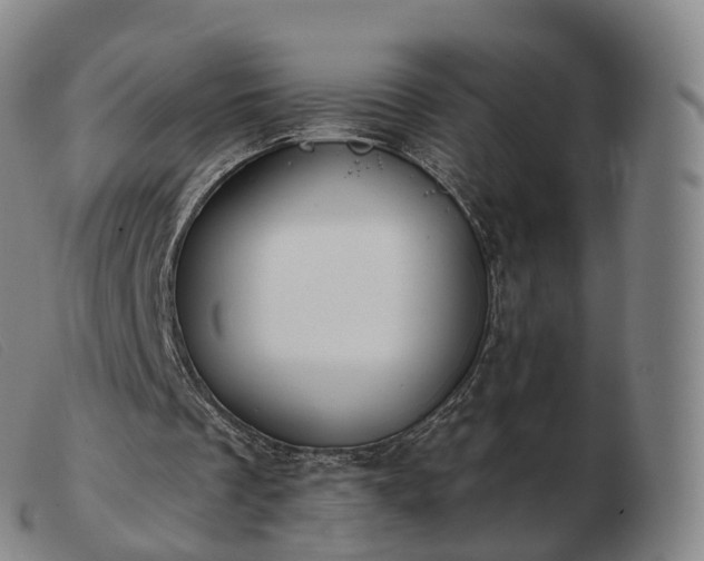 X0000103460289200809191818