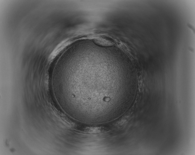 X0000103460295200809191818