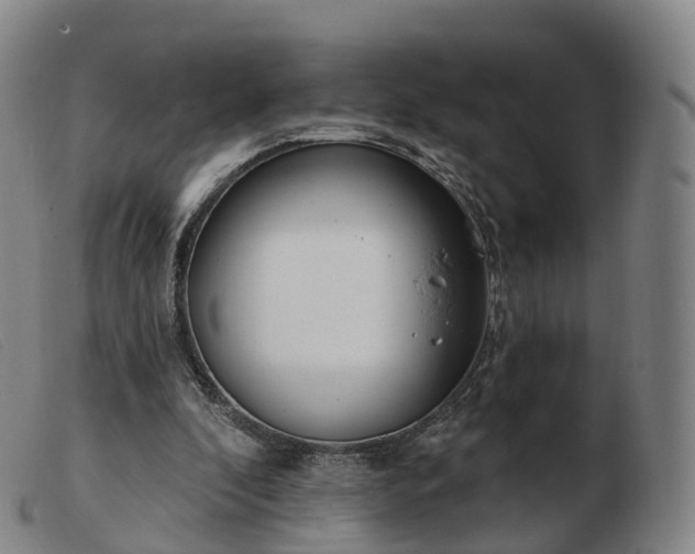 X0000103460296200809191818