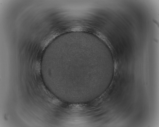 X0000103460297200809191818