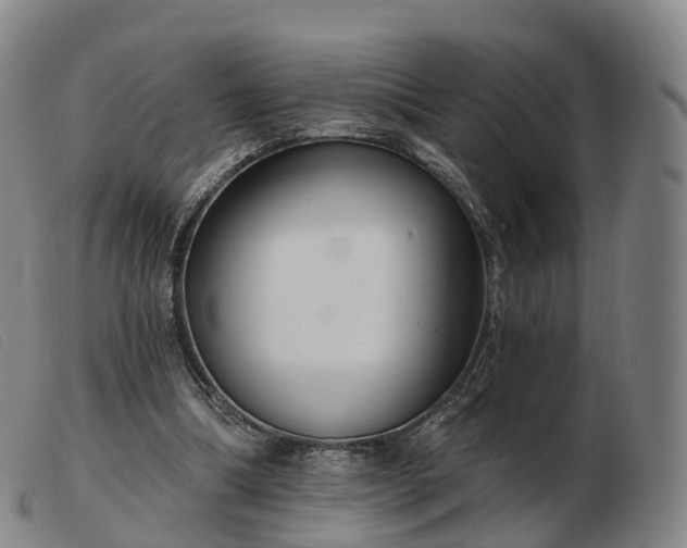 X0000103460298200809191818