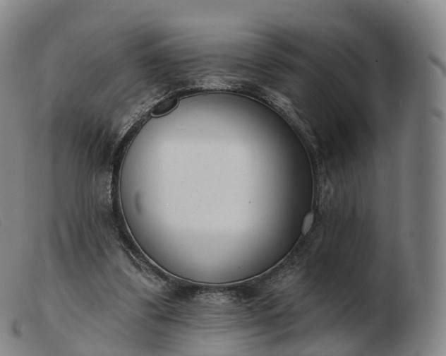 X0000103460299200809191818