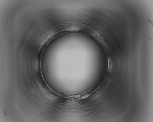X0000103460300200809191818
