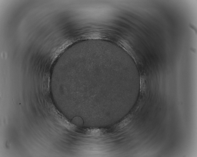 X0000103460301200809191818