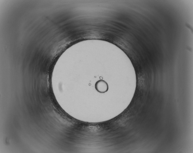 X0000103460302200809191818