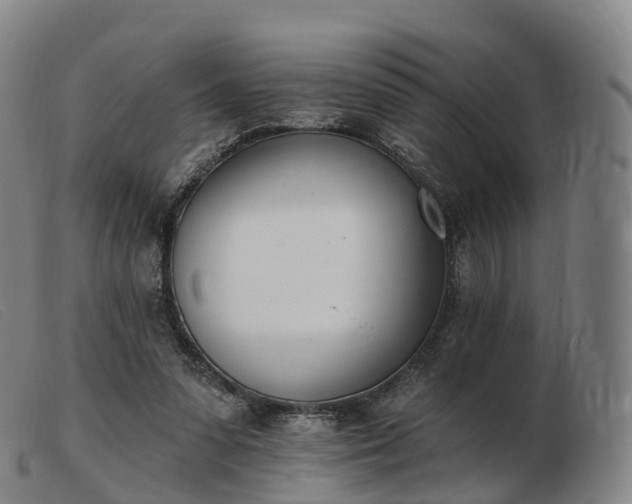 X0000103460303200809191818