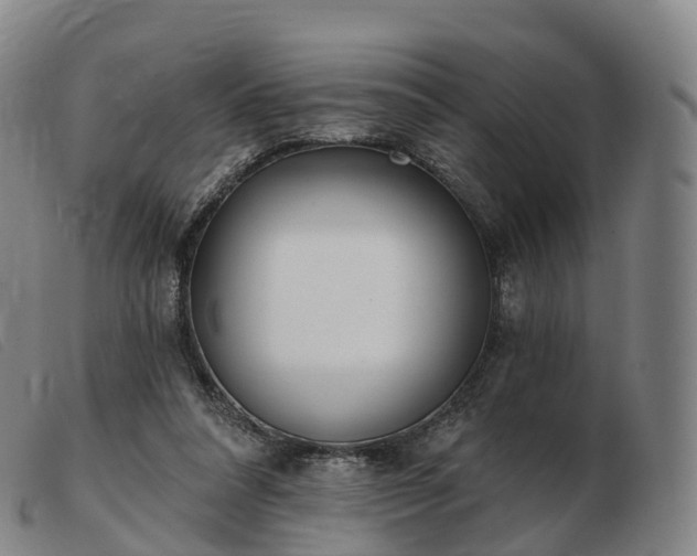 X0000103460304200809191818