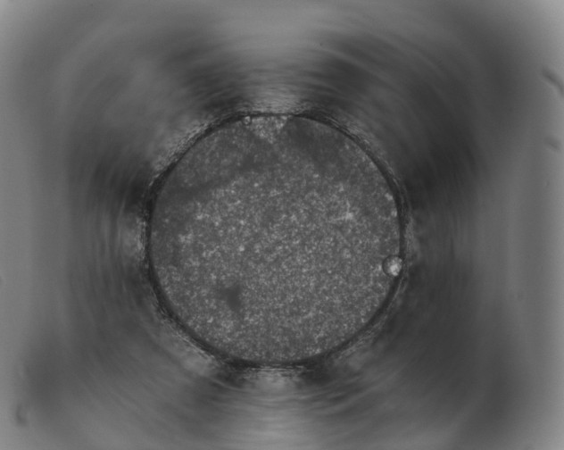X0000103460305200809191818