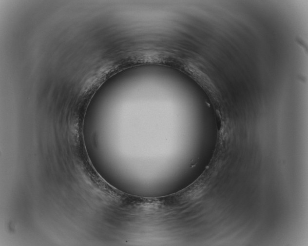 X0000103460306200809191818