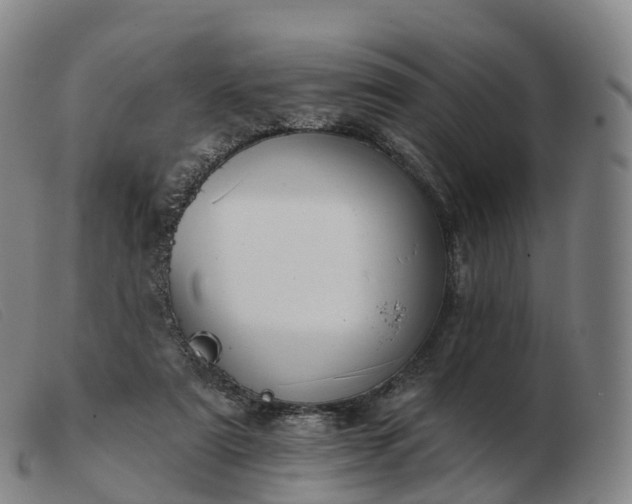 X0000103460307200809191818