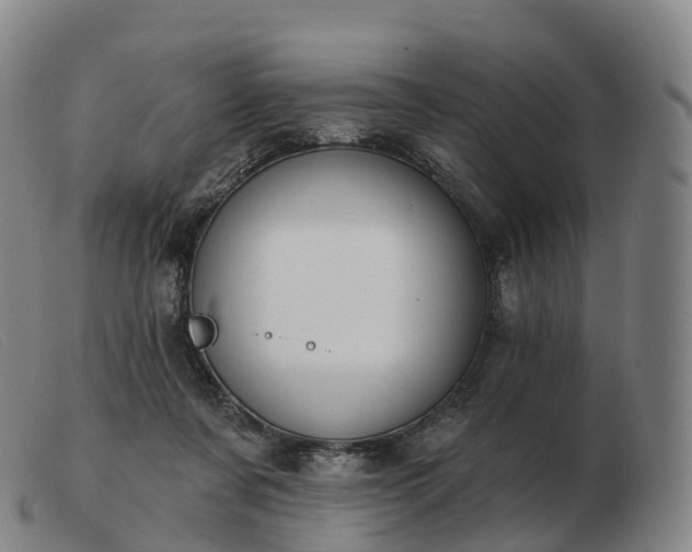 X0000103460311200809191818