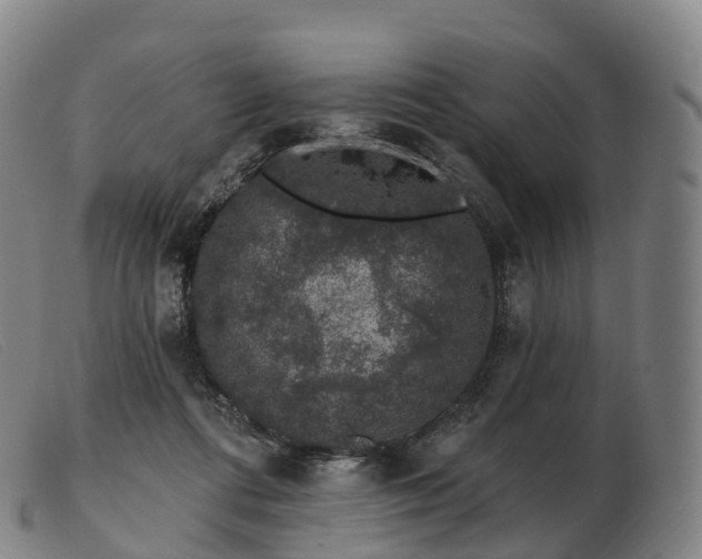 X0000103460312200809191818