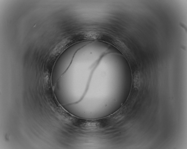 X0000103460314200809191818