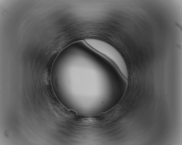 X0000103460316200809191817