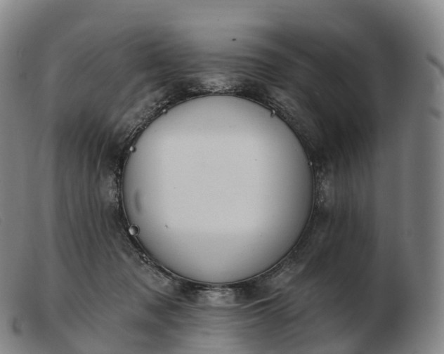 X0000103460317200809191817