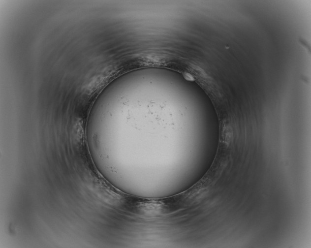 X0000103460318200809191817