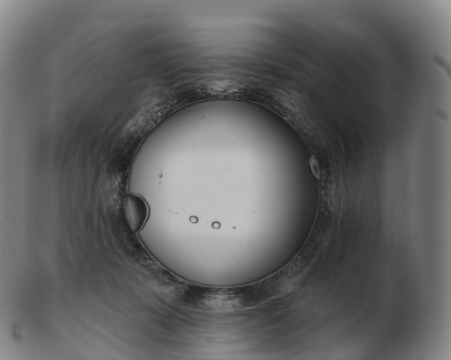 X0000103460319200809191817