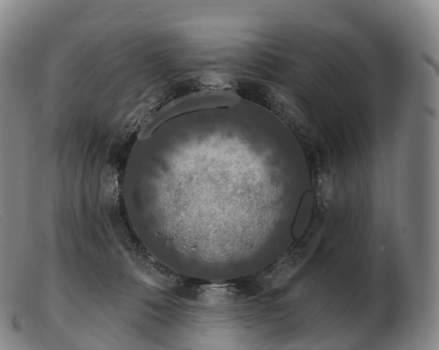 X0000103460320200809191817