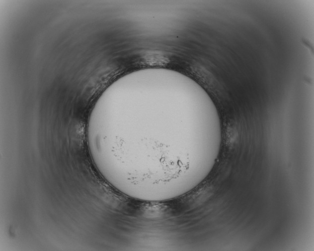X0000103460321200809191817