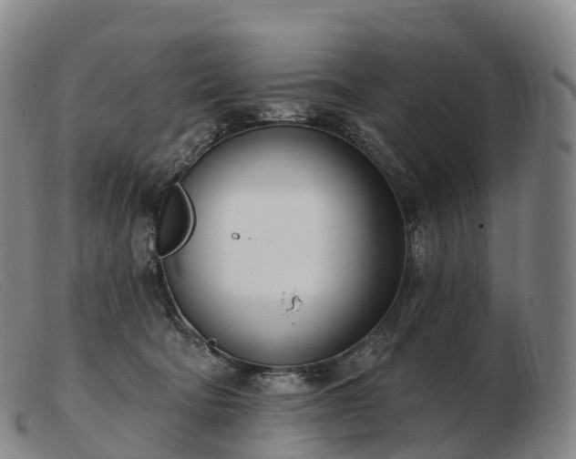 X0000103460322200809191817