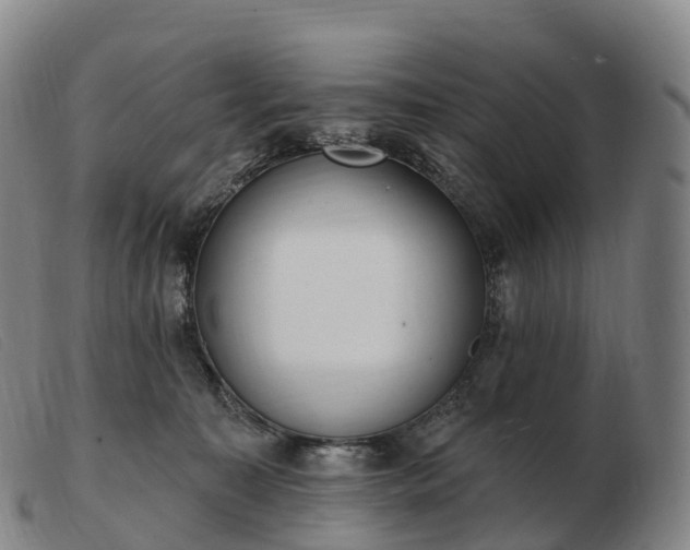 X0000103460323200809191817