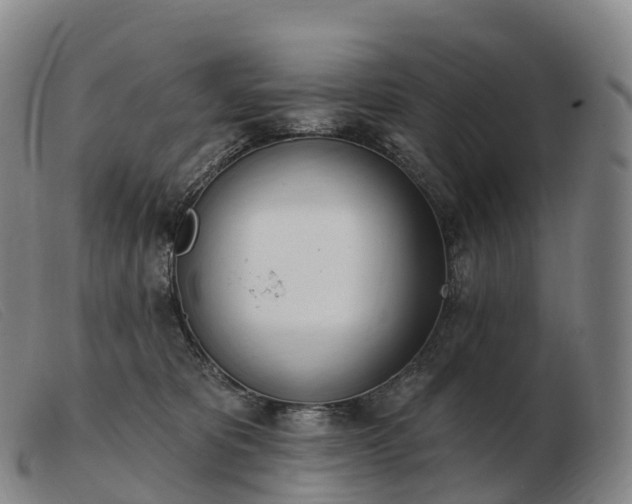 X0000103460325200809191817