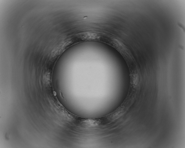 X0000103460326200809191817