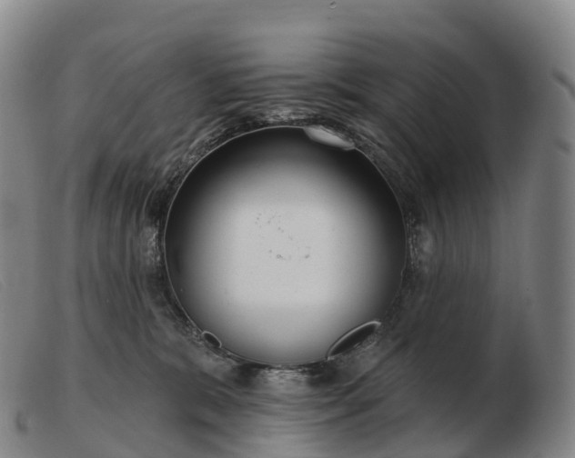 X0000103460327200809191817