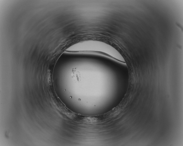 X0000103460328200809191817