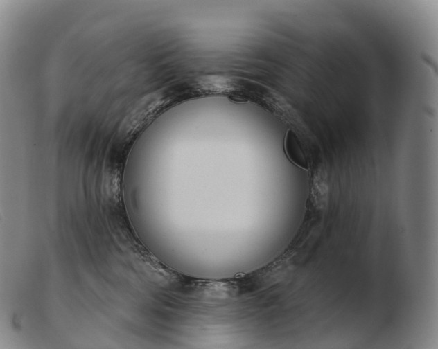 X0000103460330200809191817