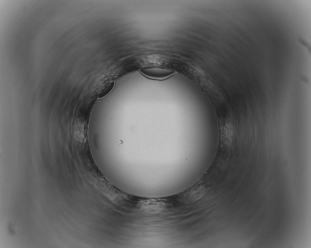 X0000103460331200809191817