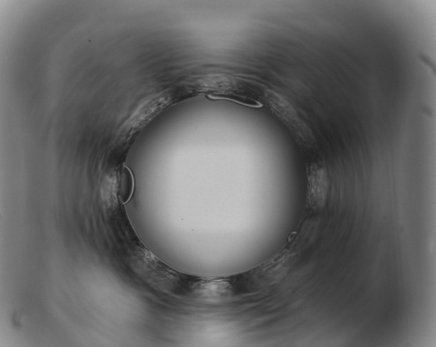 X0000103460333200809191817