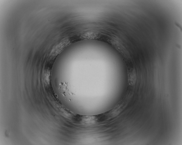 X0000103460334200809191817