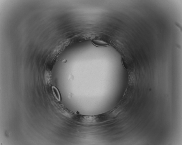 X0000103460335200809191817