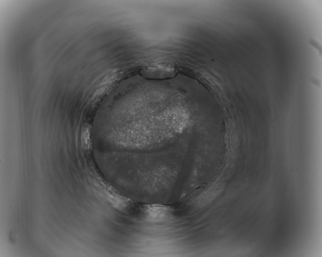 X0000103460336200809191817