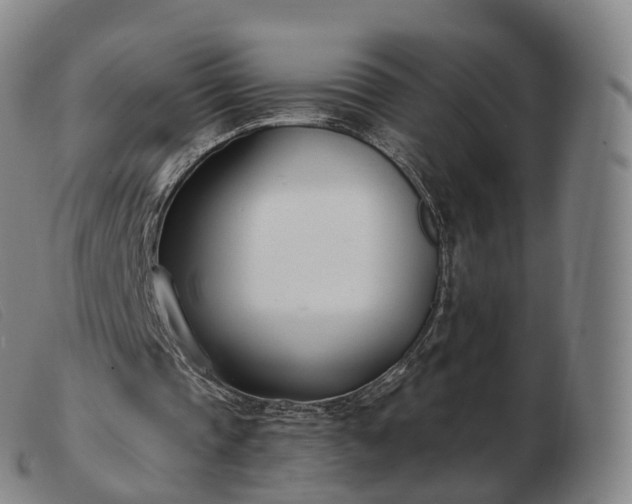 X0000103460337200809191817