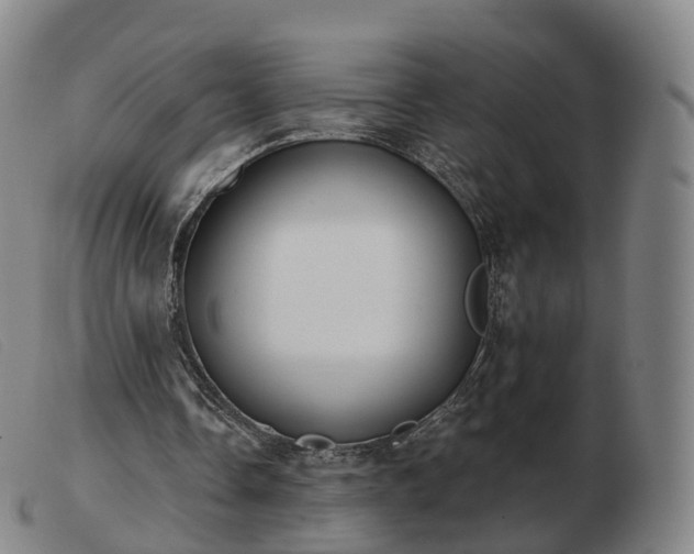 X0000103460338200809191817