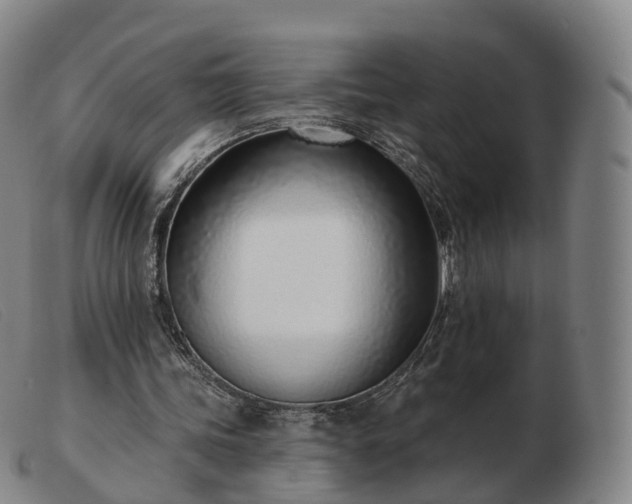 X0000103460339200809191817