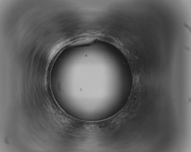X0000103460340200809191817