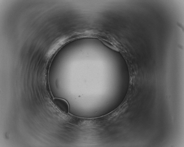 X0000103460341200809191817
