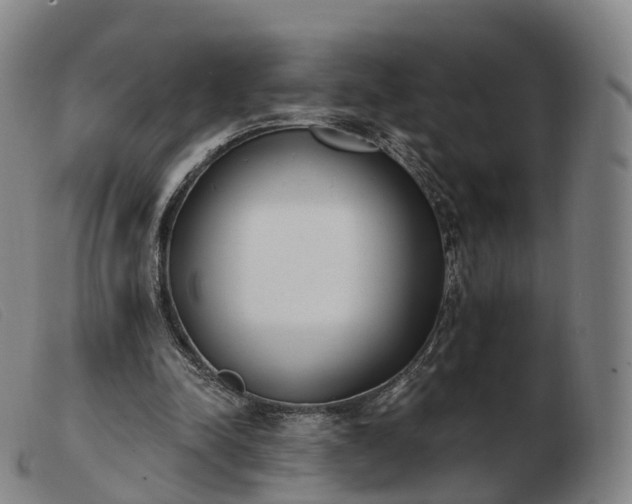 X0000103460342200809191817