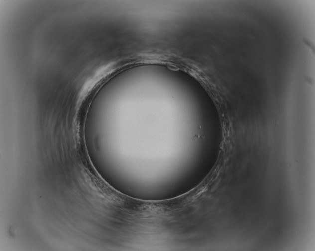 X0000103460343200809191817