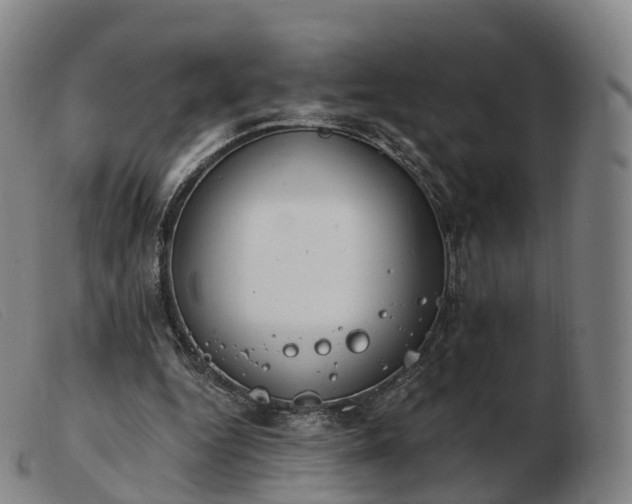 X0000103460344200809191817