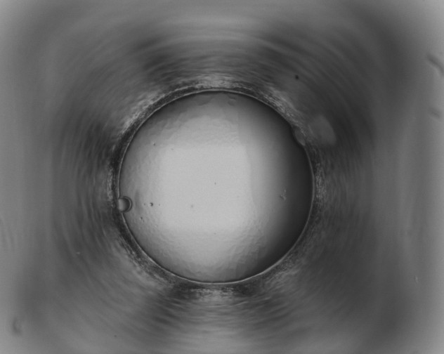 X0000103460347200809191817