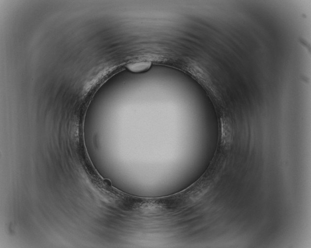 X0000103460348200809191817