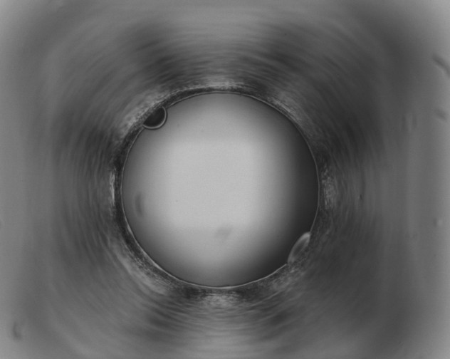 X0000103460350200809191817