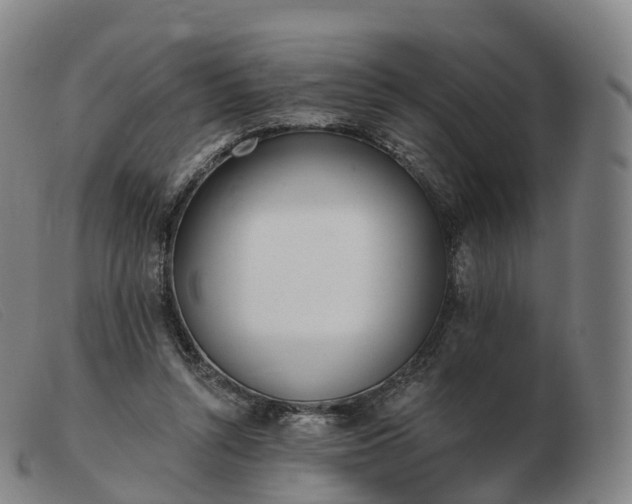 X0000103460352200809191817