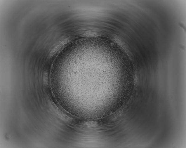X0000103460353200809191817