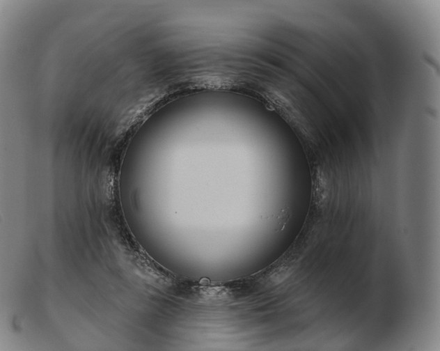 X0000103460355200809191817